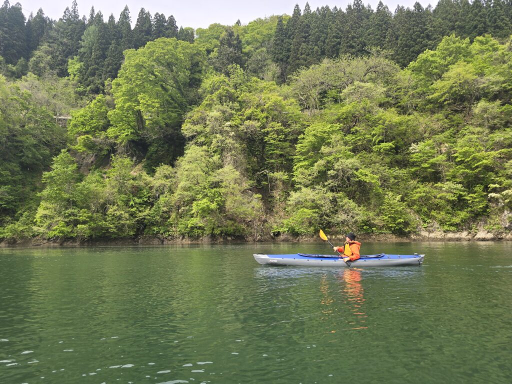 新緑の只見川を漕ぎ進むカヤック