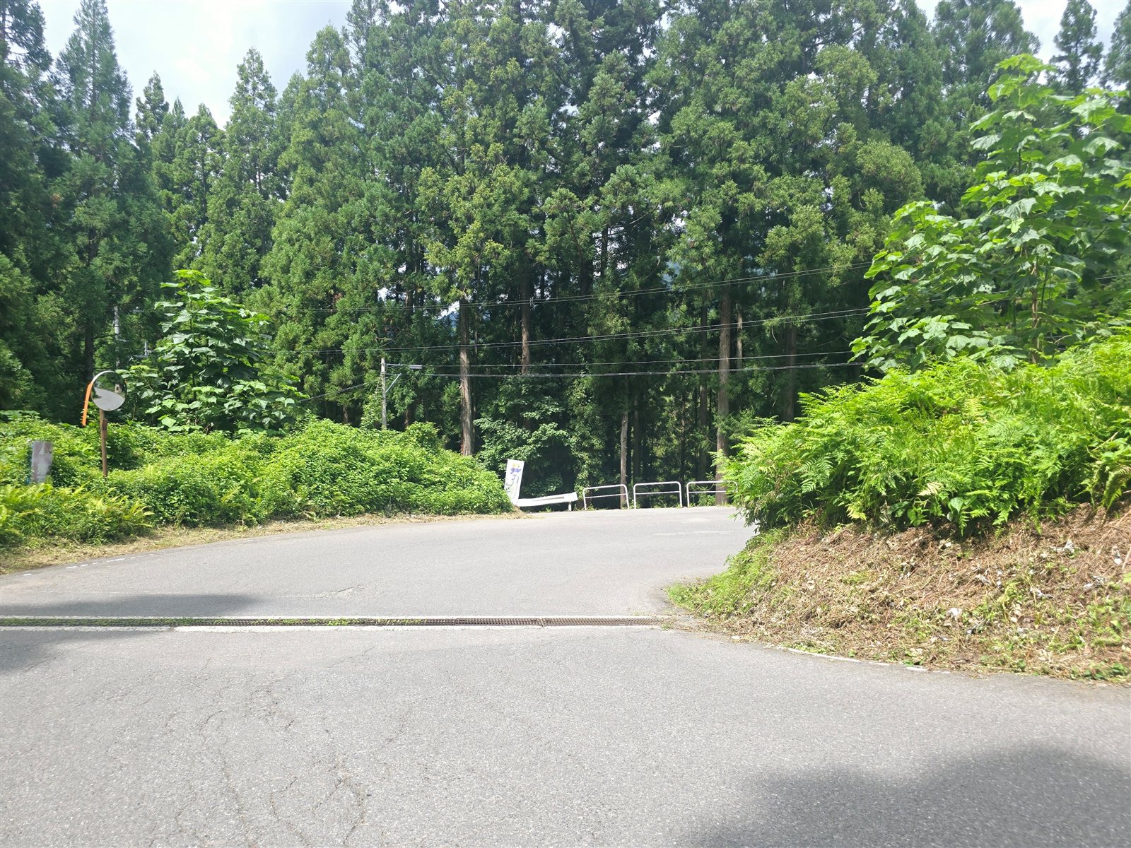 237号線から来て三更集落入り口手前の右カーブ