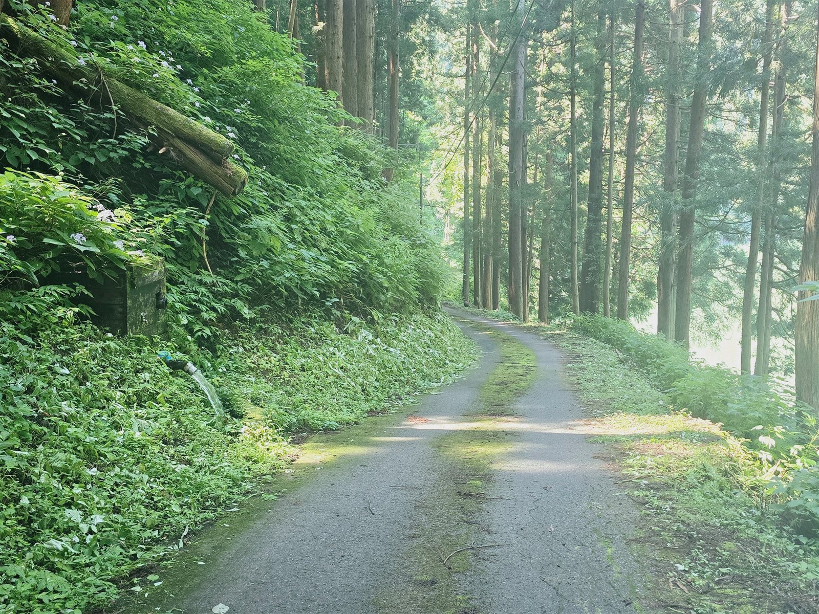 広場から入る道は車一台分の幅の狭い道です