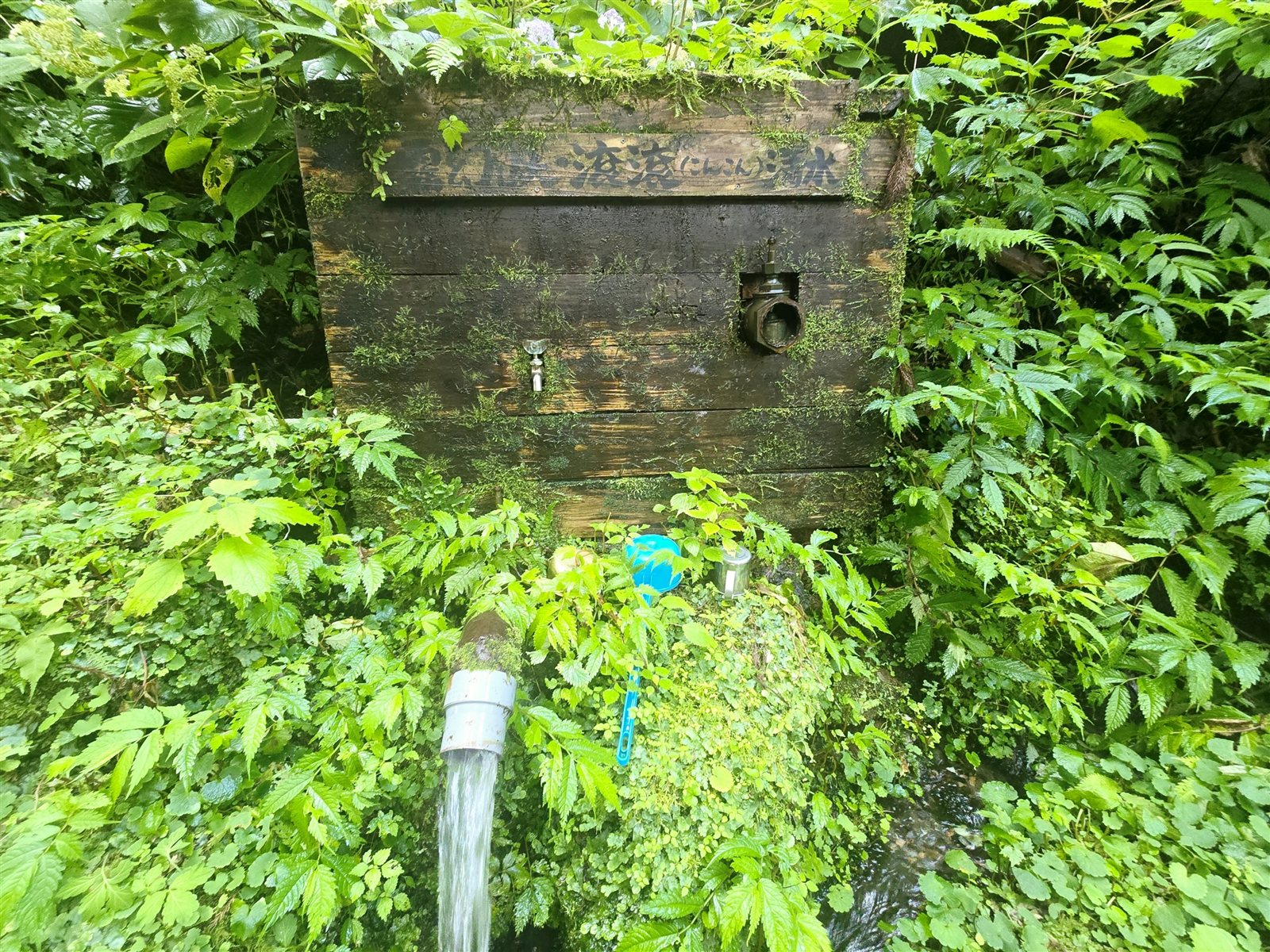 こんこん清水、冷たく美味しい山水が湧き出ています