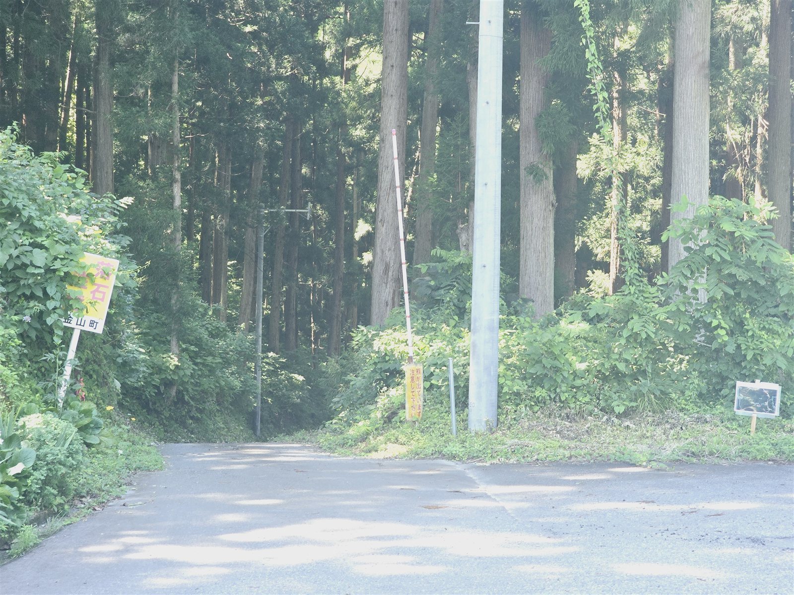集落を過ぎると集会場(車駐車可能スペース)の先に細い道へ