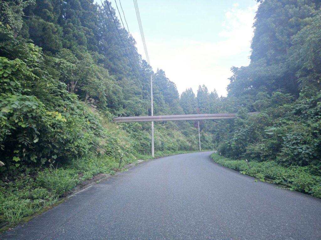 大栗山集落交差点を過ぎた付近のフェアリーロード