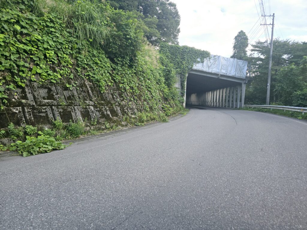 川口・丁字路から約1.2km付近、スノーシェット