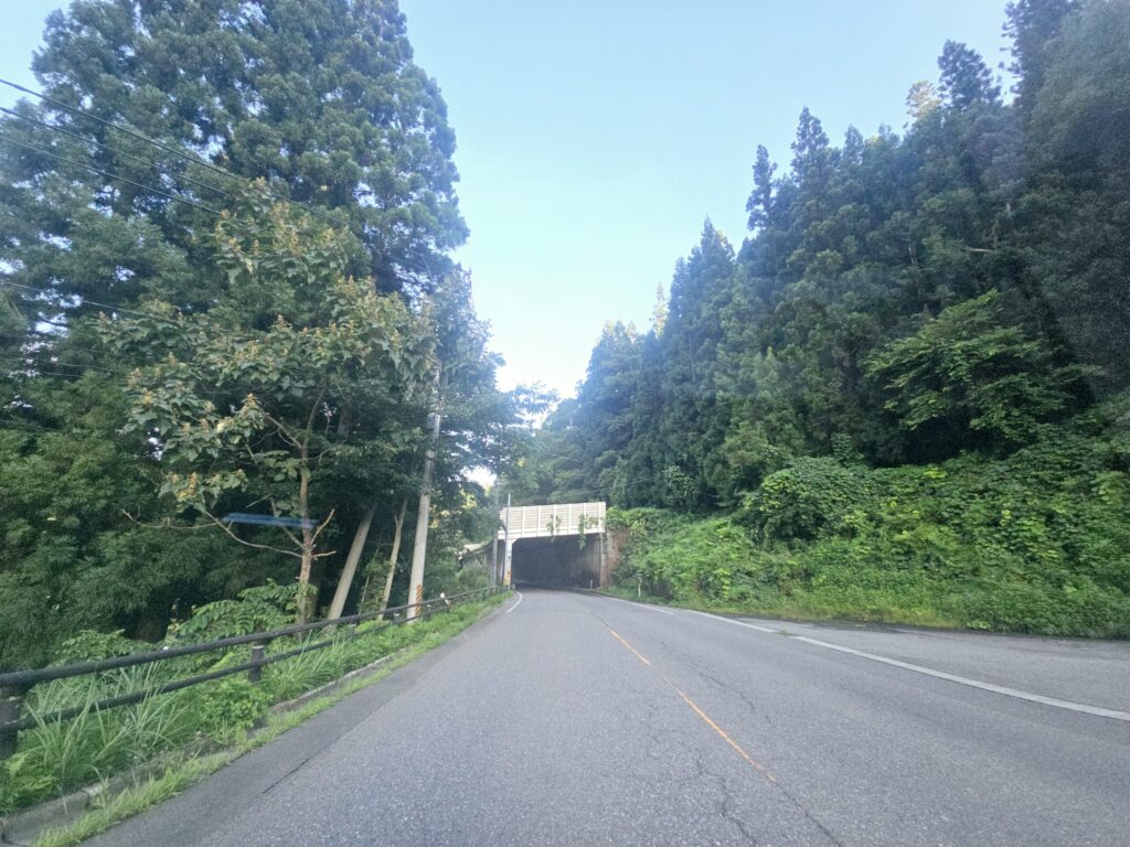 川口・丁字路から約5.4km付近、2ヵ所目のスノーシェット