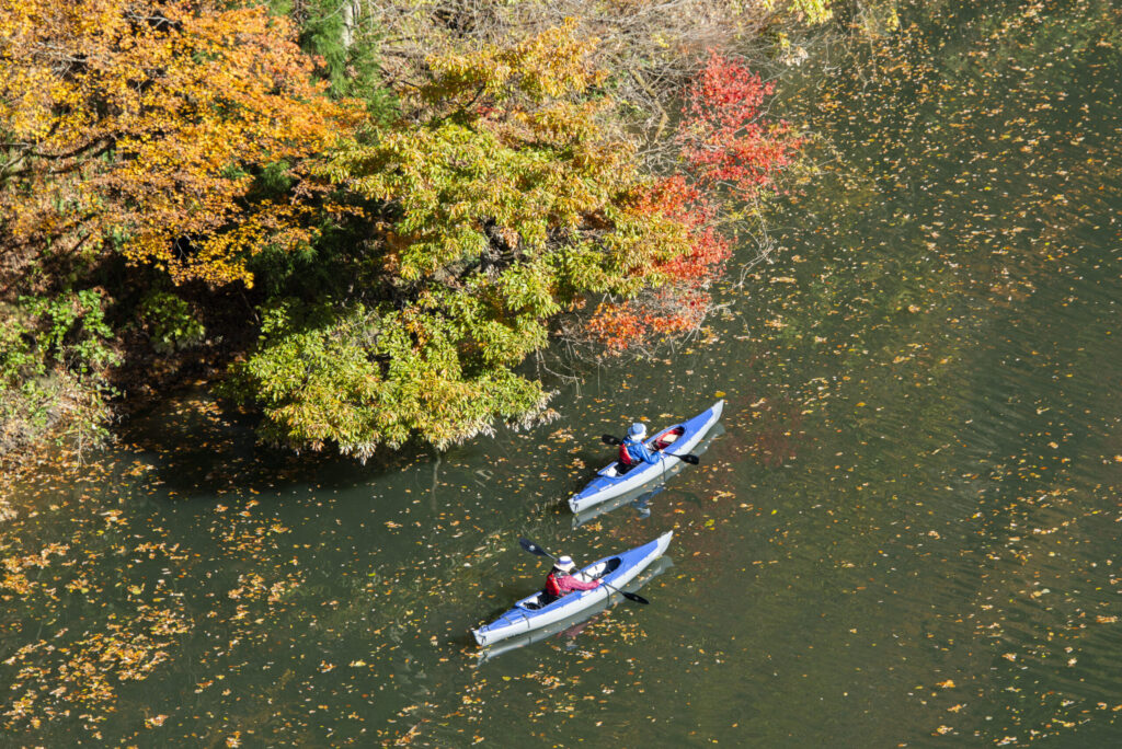 落ち葉が浮かぶ只見川の水面を上から見下ろした、紅葉とカヤック2艇