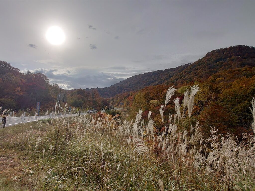 国道400号線ぞいのすすきと、色づいた山なみ。昭和村から南会津町へ抜ける道